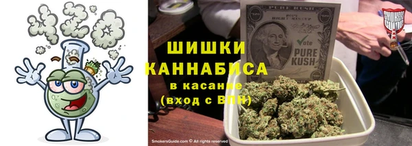 дмт Нягань