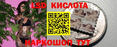 ALPHA PVP Гусев
