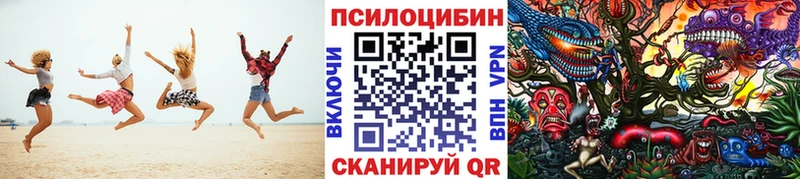 Галлюциногенные грибы Psilocybe  Кстово 