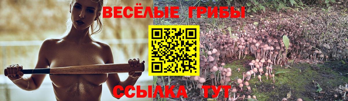 Псилоцибиновые грибы мицелий Кстово