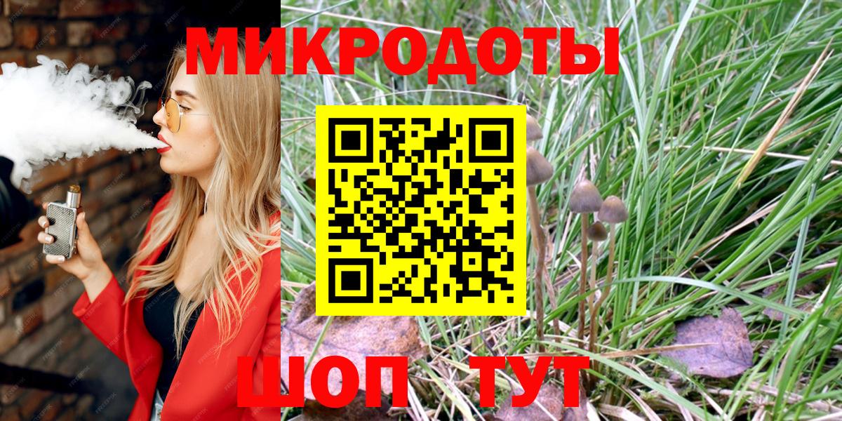 Псилоцибиновые грибы Psilocybine cubensis Кстово