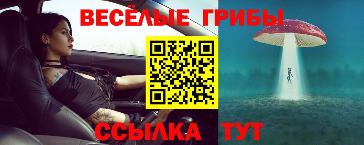 Псилоцибиновые грибы Cubensis  Вход с VPN  Псилоцибиновые грибы GOLDEN TEACHER  Кстово 